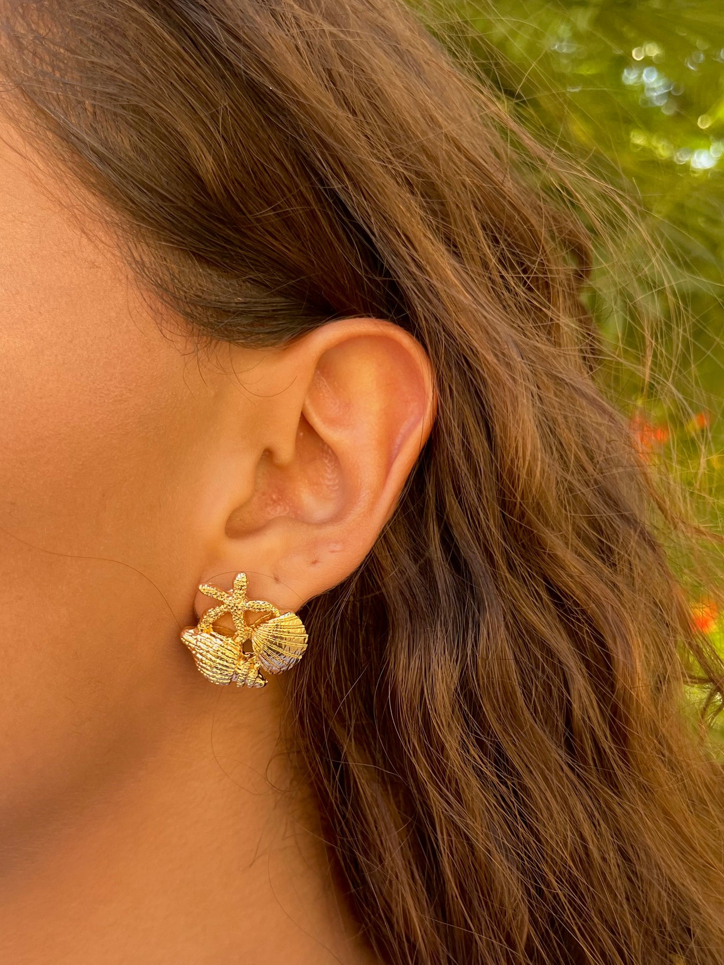 Seashell Studs
